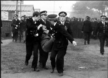 imgID140882132.jpg.gallery